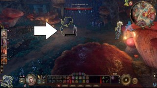 Baldurs Gate 3. Побочные квесты