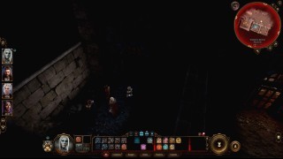 Baldurs Gate 3. Прохождение