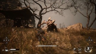 Black Myth Wukong. Глава 2