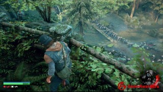 прохождение Days Gone