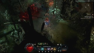 Diablo 4. Подземелья