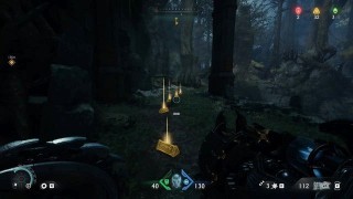 Doom The Dark Ages. Бездонный лес