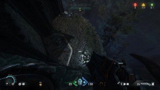 Doom The Dark Ages. Бездонный лес