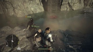 Dragons Dogma 2. Пешки