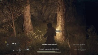 Dragons Dogma 2. Увеличить инвентарь