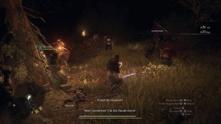 Dragons Dogma 2. Прохождение сюжет