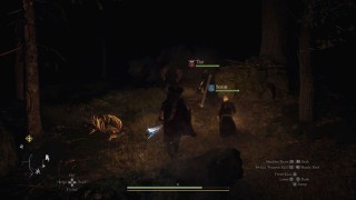 Dragons Dogma 2. Прохождение сюжет