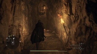 Dragons Dogma 2. Прохождение сюжет