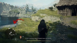 Dragons Dogma 2. Жетоны искателя