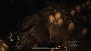 Dragons Dogma 2. Жетоны искателя