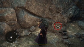 Dragons Dogma 2. Жетоны искателя