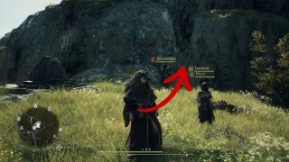 Dragons Dogma 2. Жетоны искателя