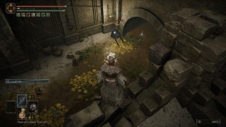 Elden Ring Shadow of the Erdtree. Прохождение