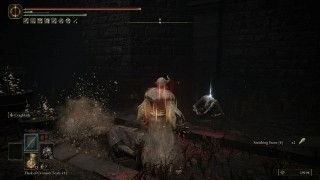 Elden Ring Shadow of the Erdtree. Прохождение