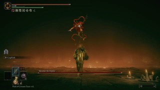 Elden Ring Shadow of the Erdtree. Прохождение