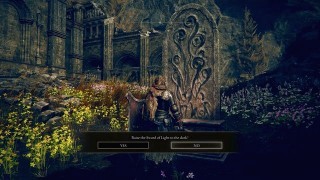 Elden Ring Shadow of the Erdtree. Мечь света тьмы