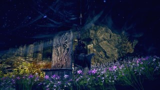 Elden Ring Shadow of the Erdtree. Мечь света тьмы