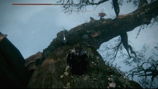 прохождение Elden Ring