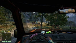 прохождение дополнительных заданий Far Cry 4