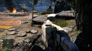 журналы Мохана Гейла Far Cry 4