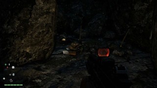 письма и плакаты Far Cry 4