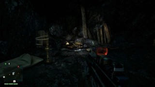 письма и плакаты Far Cry 4