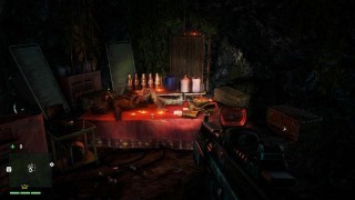 письма и плакаты Far Cry 4