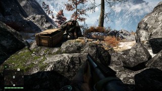 письма и плакаты Far Cry 4