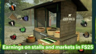 Farming Simulator 25. Деньги