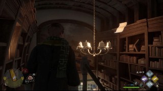 страницы полевого руководства Hogwarts Legacy в Хогсмиде