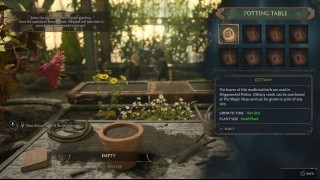 евролос прохождение Hogwarts Legacy сюжет