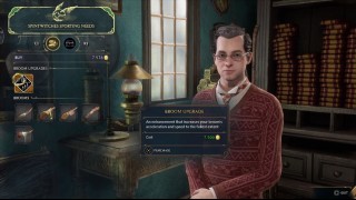 дополнительные задания Hogwarts Legacy