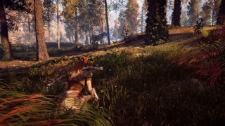 прохождение сюжета Horizon Zero Dawn