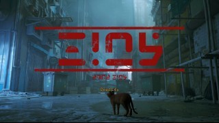 прохождение Stray