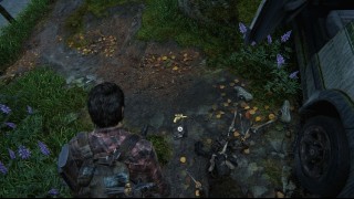 прохождение The Last of Us