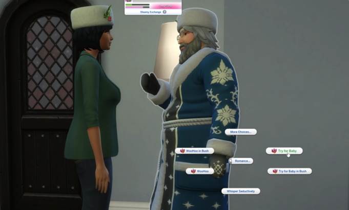 гайд по прохождению The Sims 4 Seasons