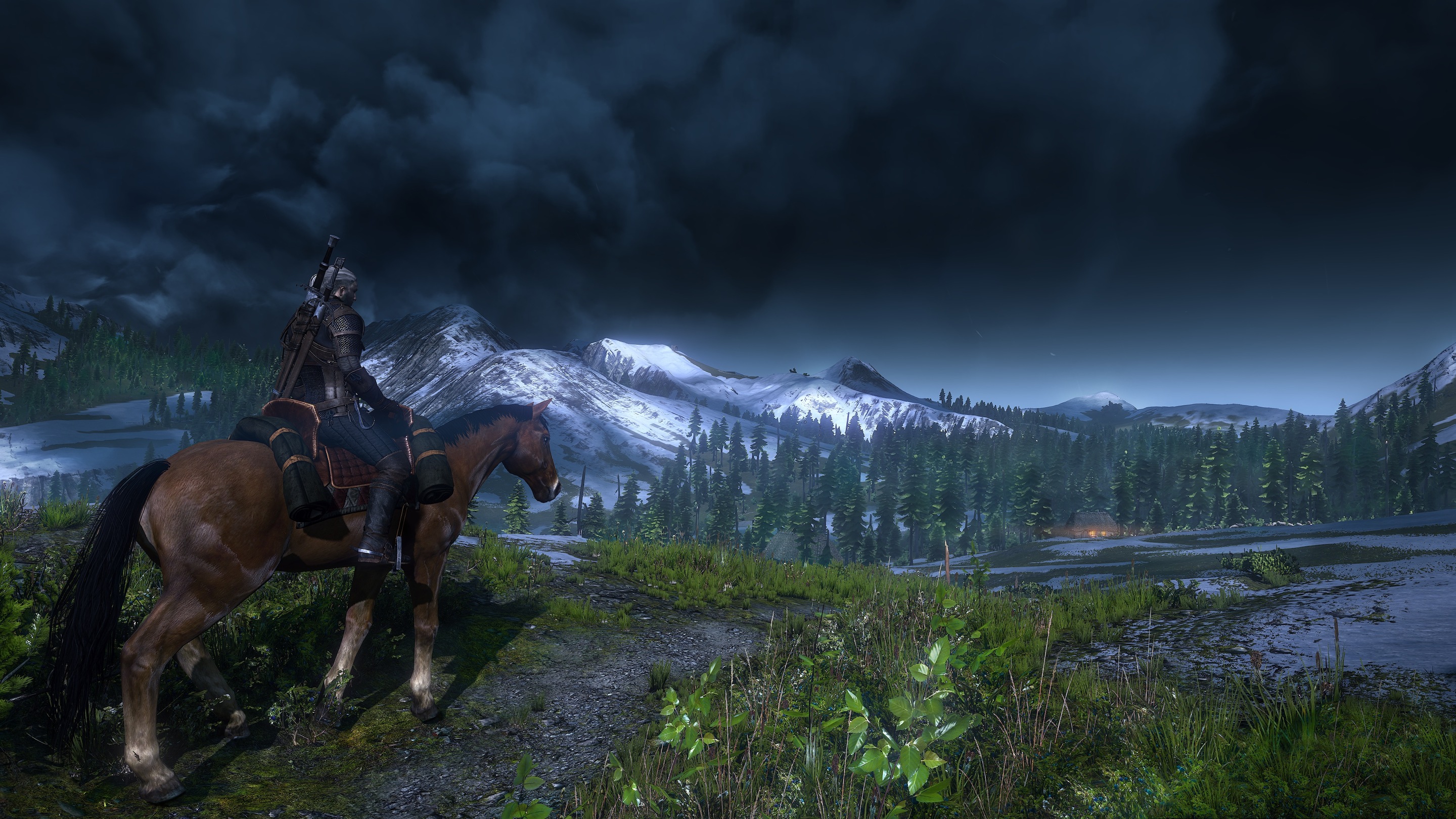 The witcher 3 pc games фото 77