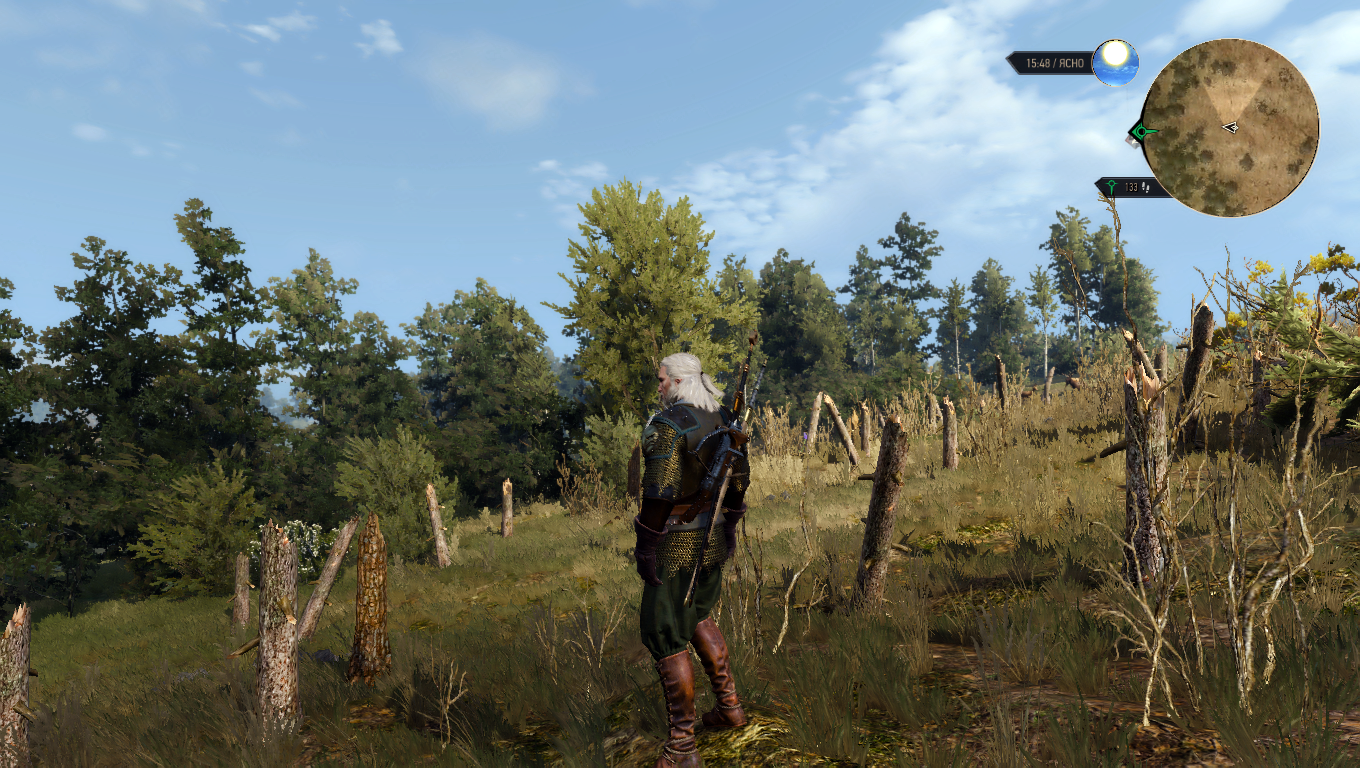 скачать The Witcher 3: Wild Hunt 