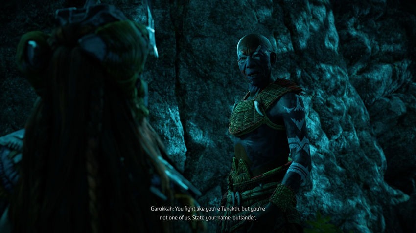 дополнительные миссии Horizon Forbidden West