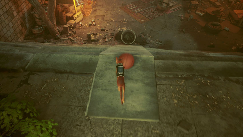 прохождение Stray