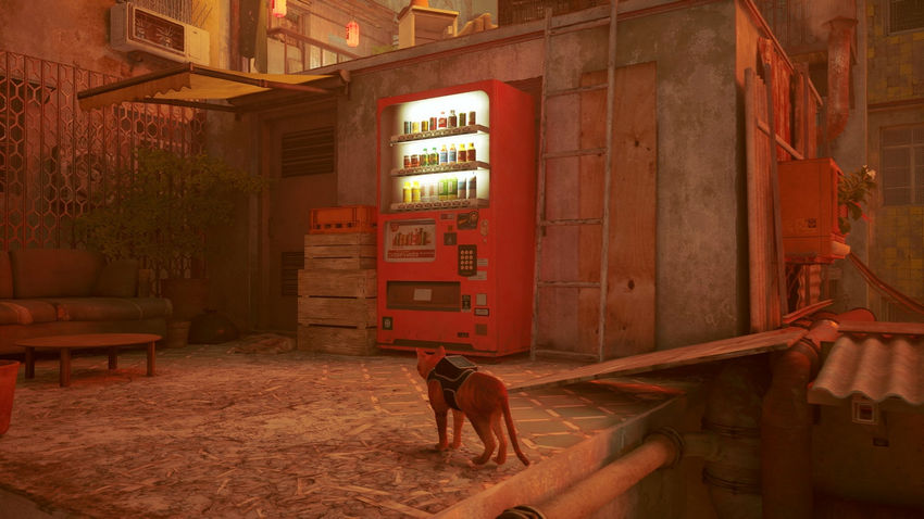 прохождение Stray