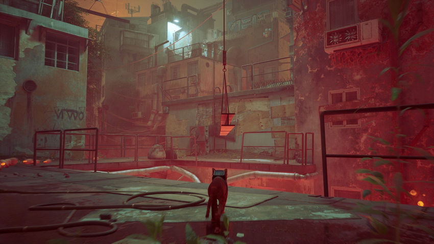 прохождение Stray