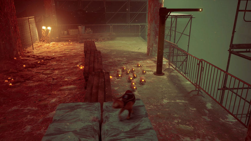 прохождение Stray