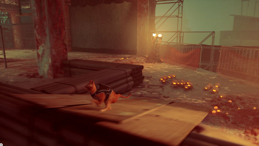 прохождение Stray