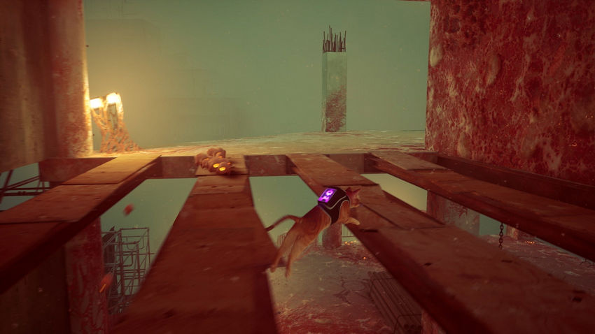 прохождение Stray