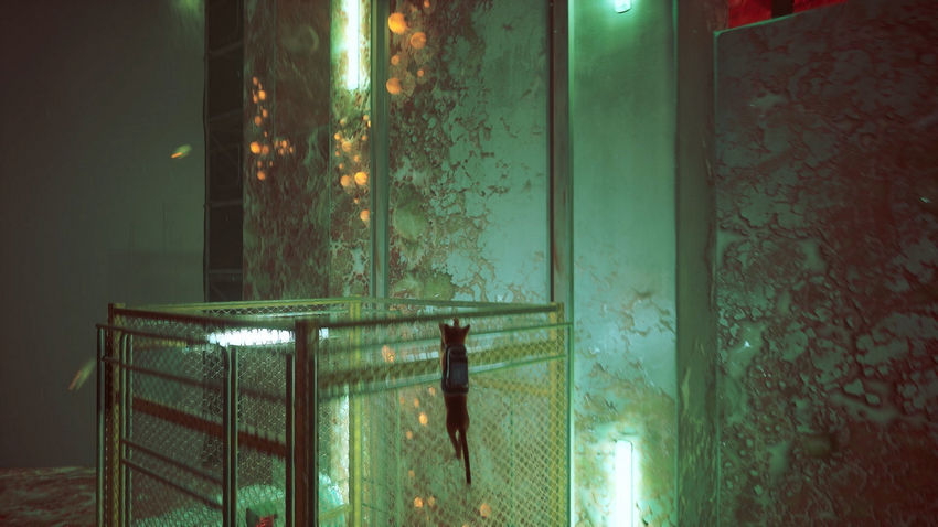 прохождение Stray