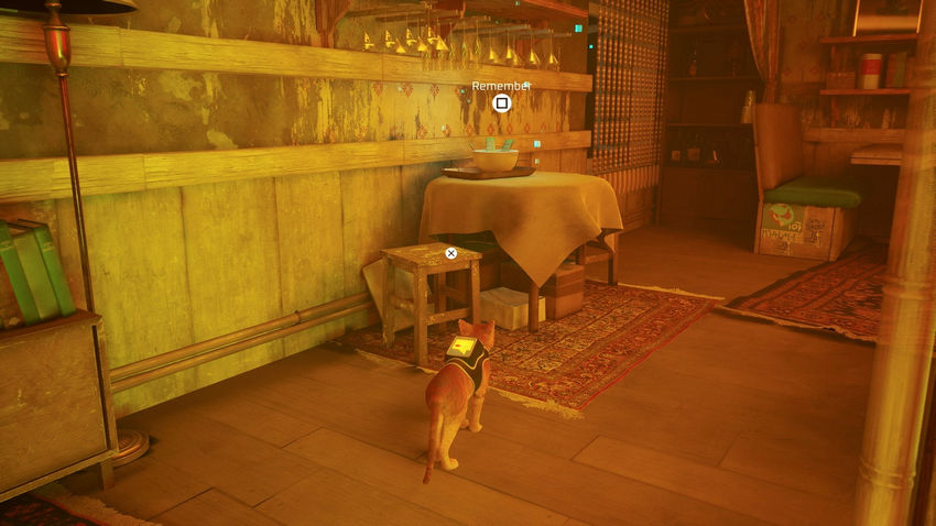 прохождение Stray