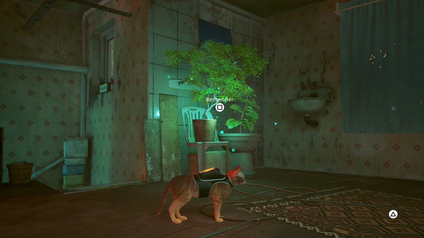 прохождение Stray