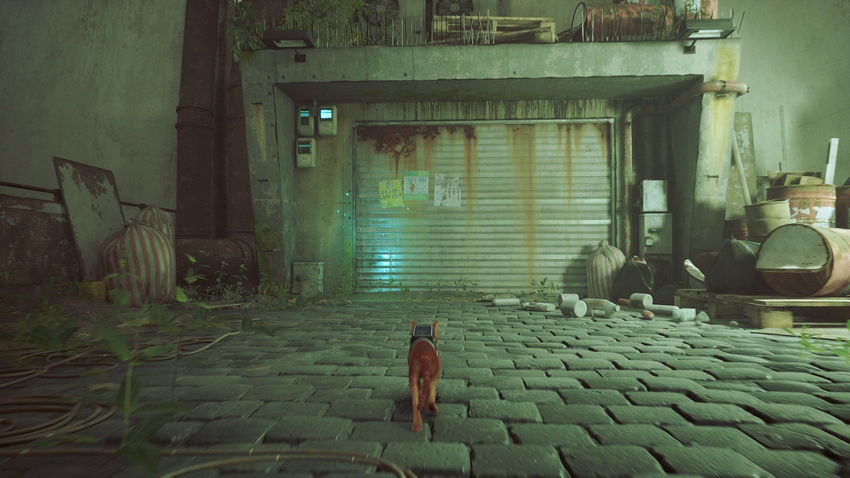 прохождение Stray