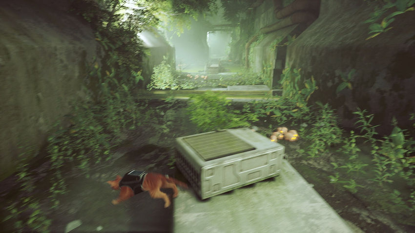 прохождение Stray